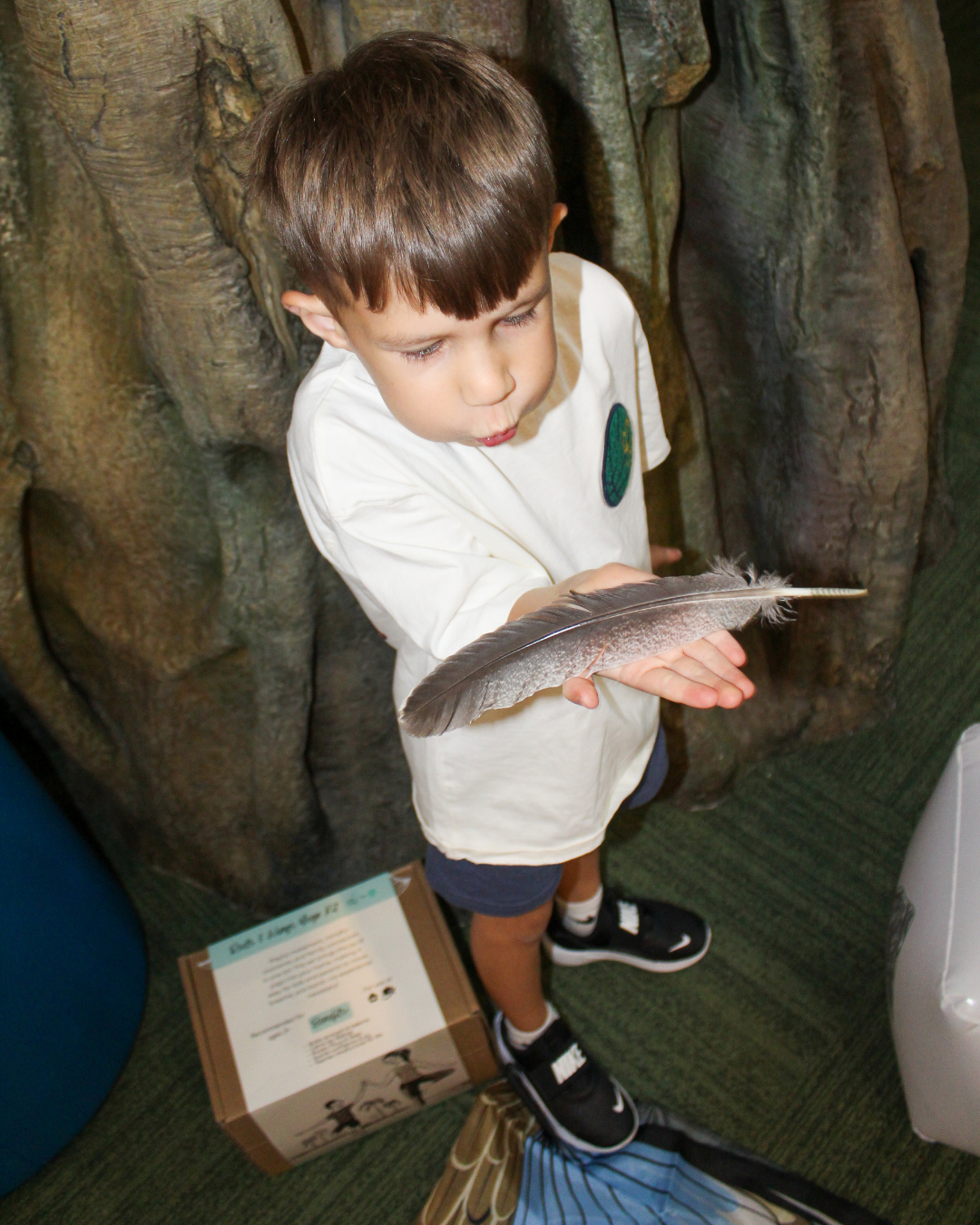 Oversized Feather 🪶- naturally fallen turkey feather