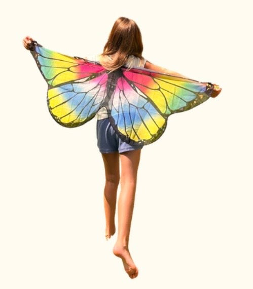 Butterfly Wings